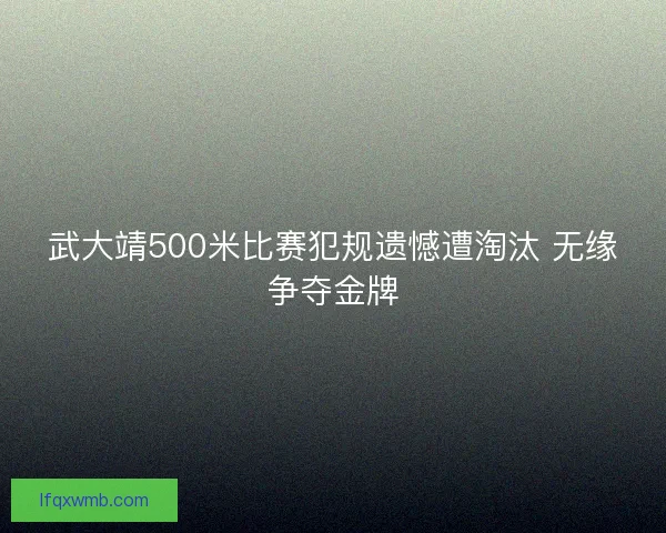 武大靖500米比赛犯规遗憾遭淘汰 无缘争夺金牌